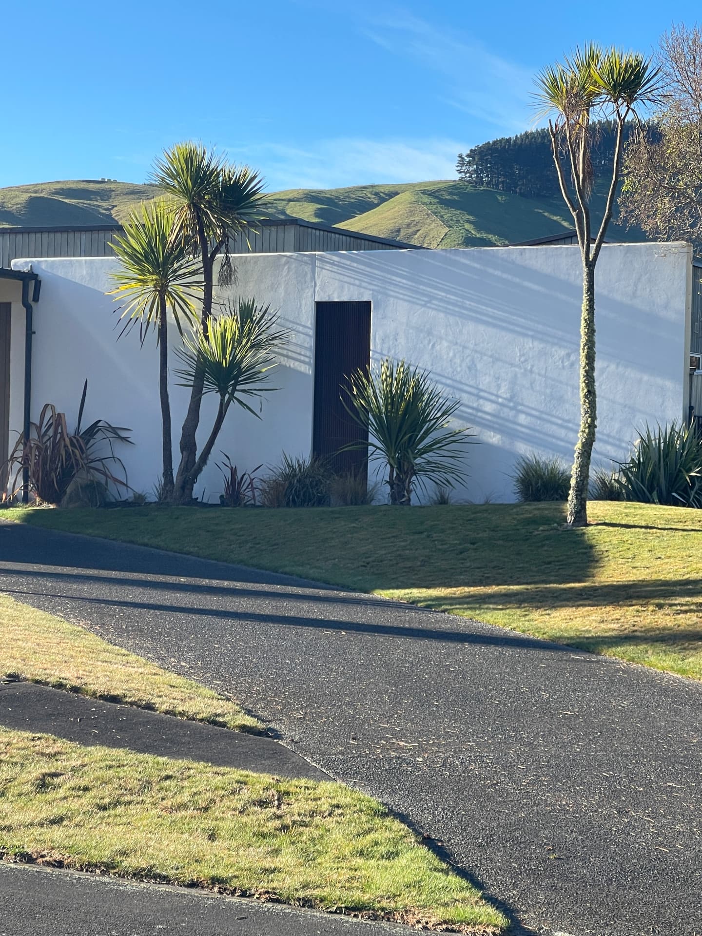 White rendered courtyard wall with cabbage trees and flax on the street edge of The Fairways