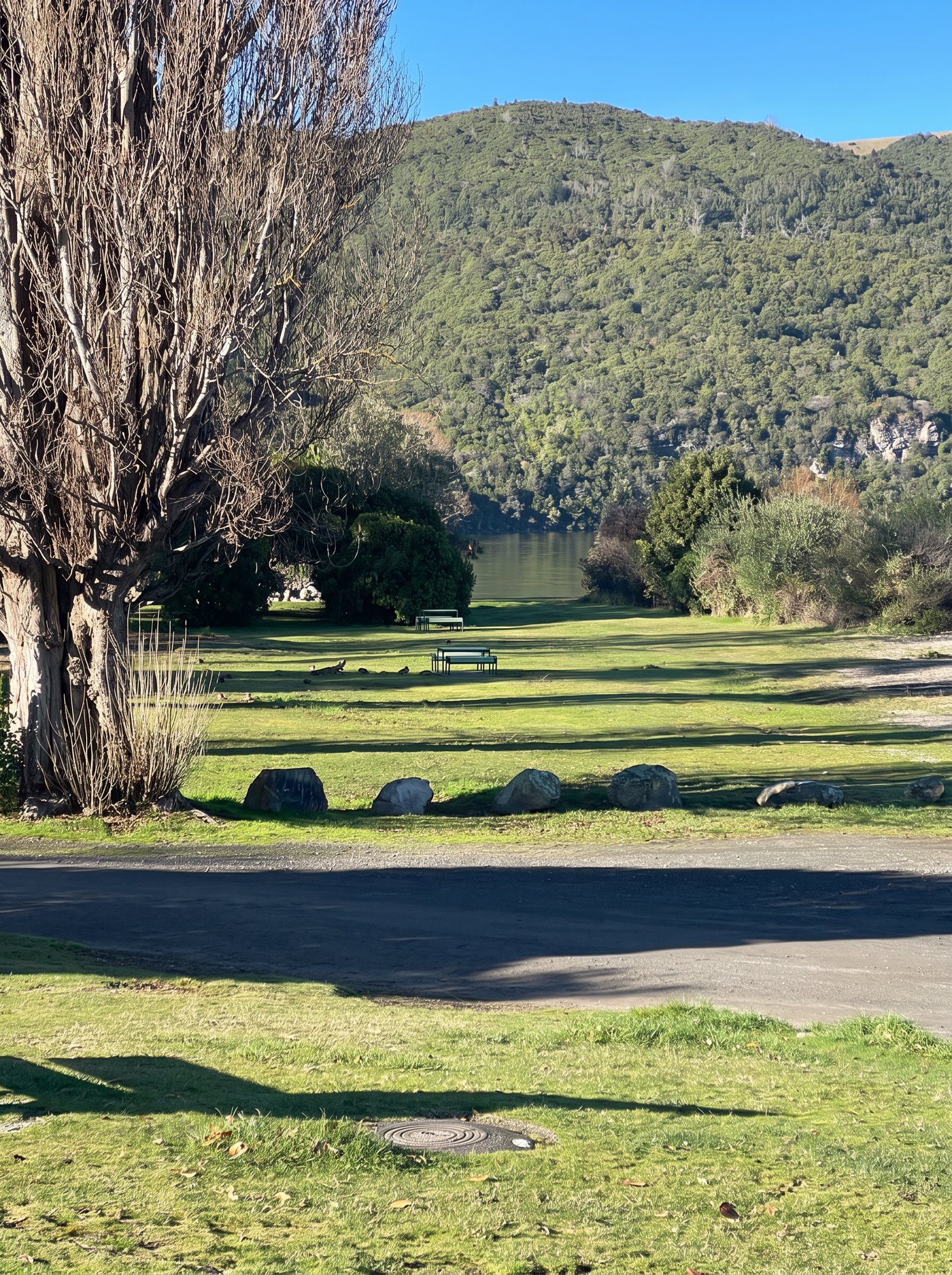 Lawns and benches running down to the lake edge in the village of Kinloch, bush-clad hills beyond