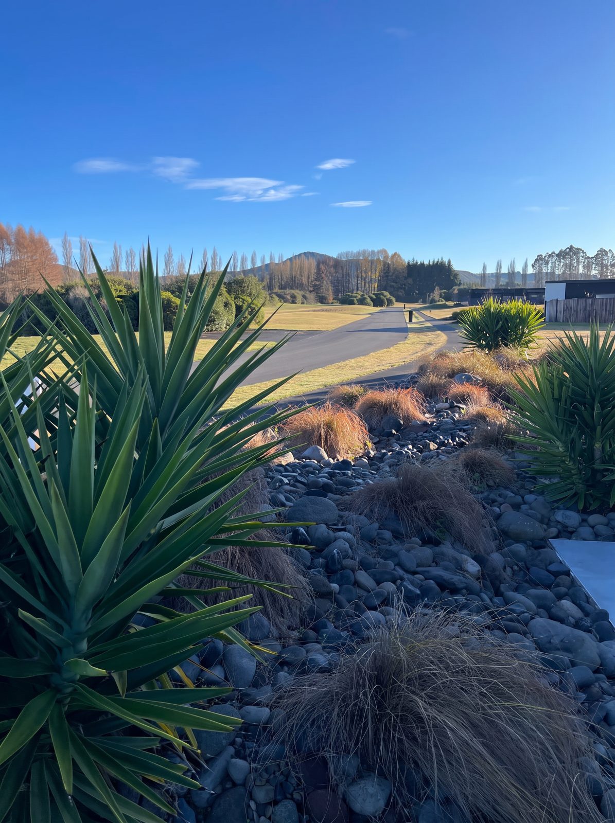 A quiet paved street through The Fairways with planted tussock, river stone and the fairway and hills beyond