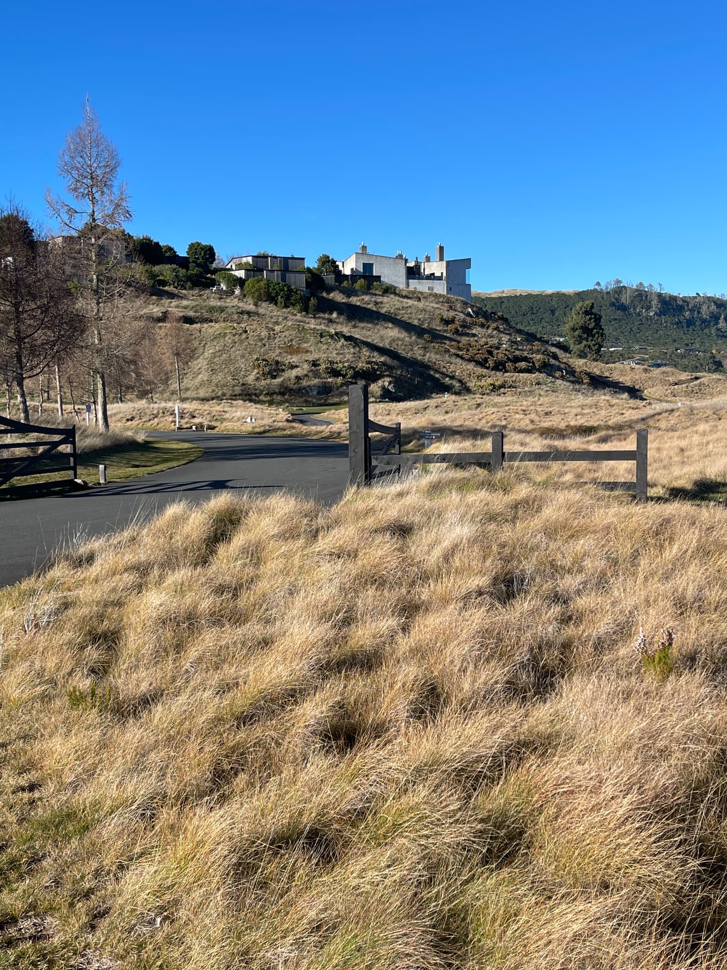 The road into The Fairways with the Manor on the ridge above the tussock at Kinloch